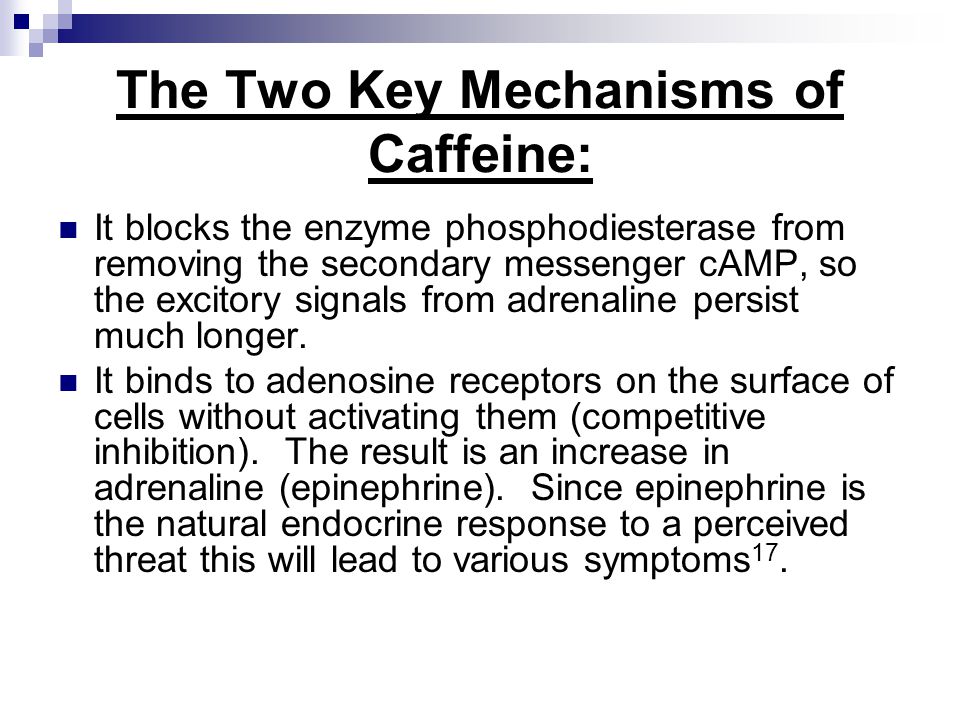 Caffeine synthesis